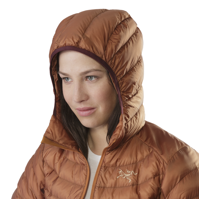 Arcteryx Womens Cerium LT Hoody Black-6