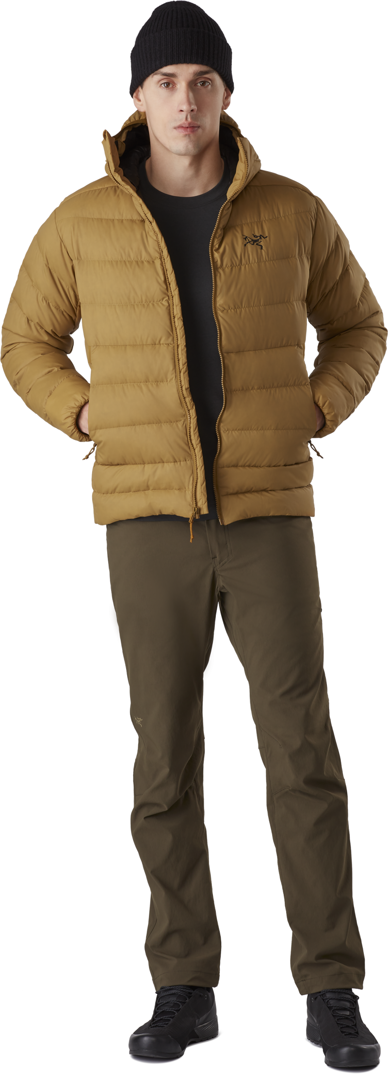 Arcteryx Mens Thorium AR Hoody Dracaena-7