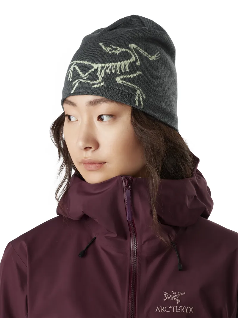 Arcteryx Bird Head Toque Exosphere/Stratosphere-1