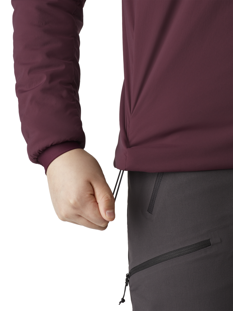 Arcteryx Womens Proton LT Hoody Rhapsody-5