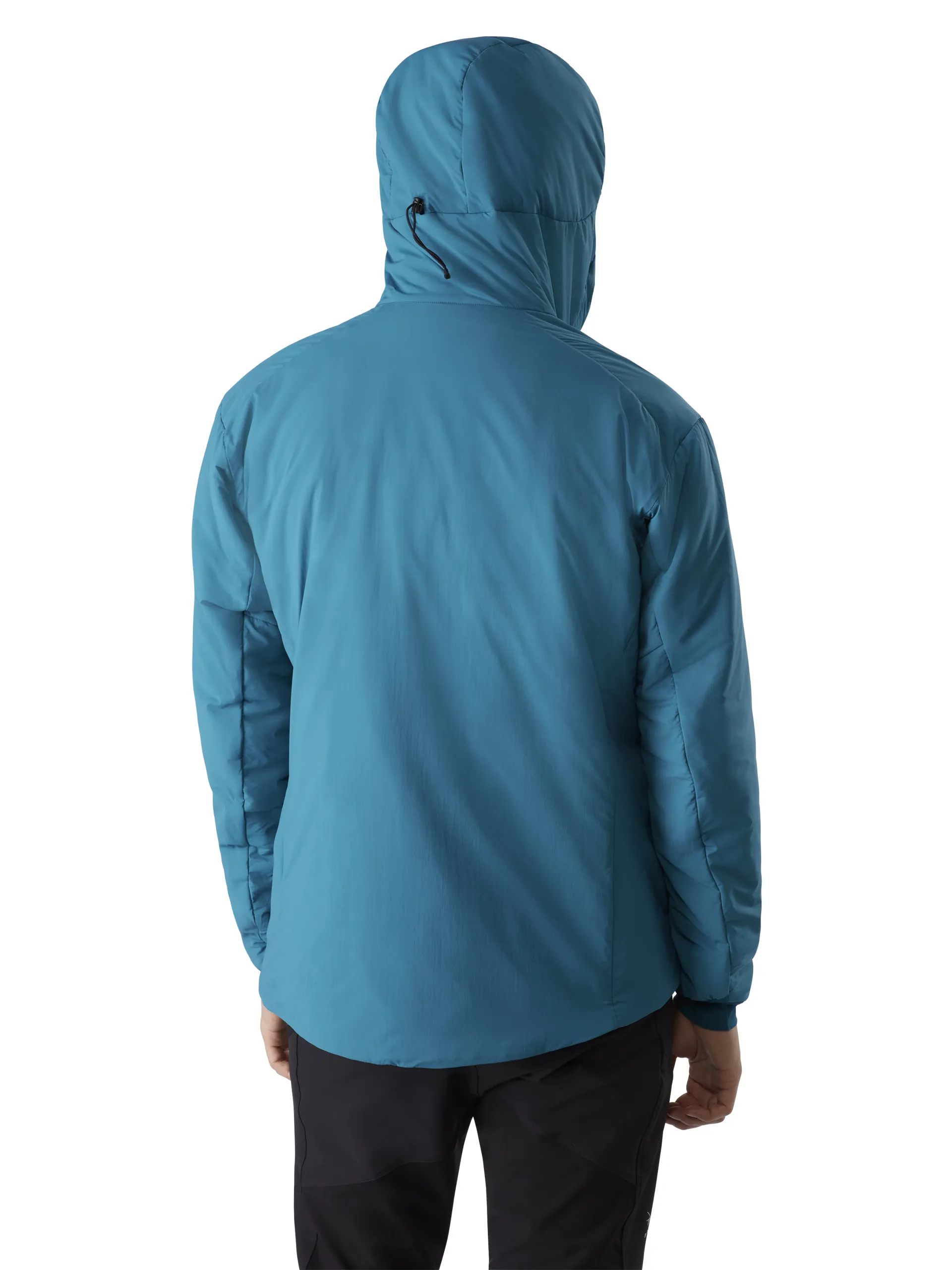Arcteryx Mens Proton LT Hoody Wildchild
