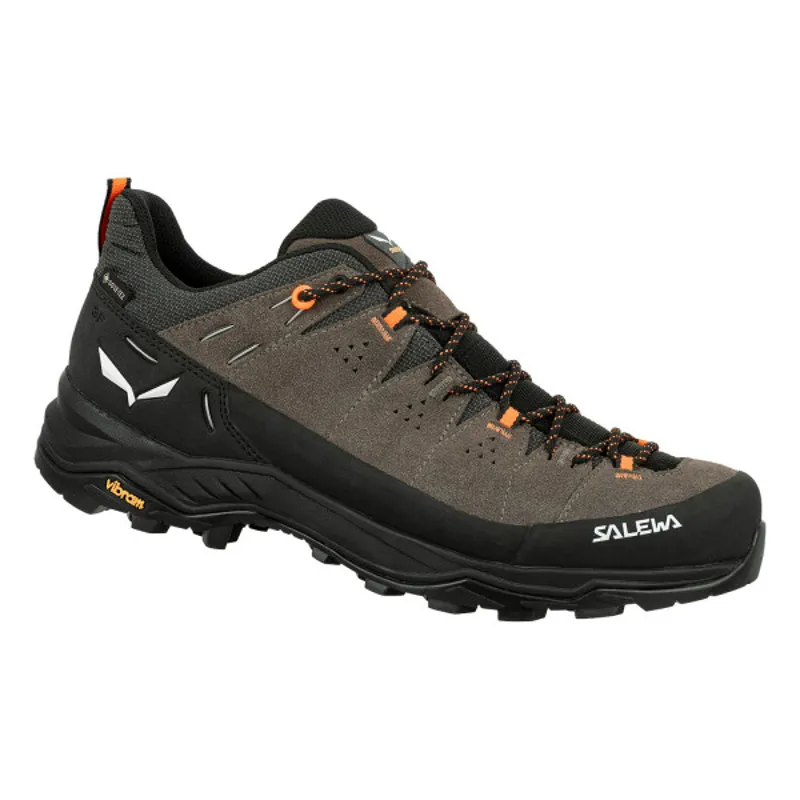 Salewa Mens Alp Trainer 2 GTX Walnut