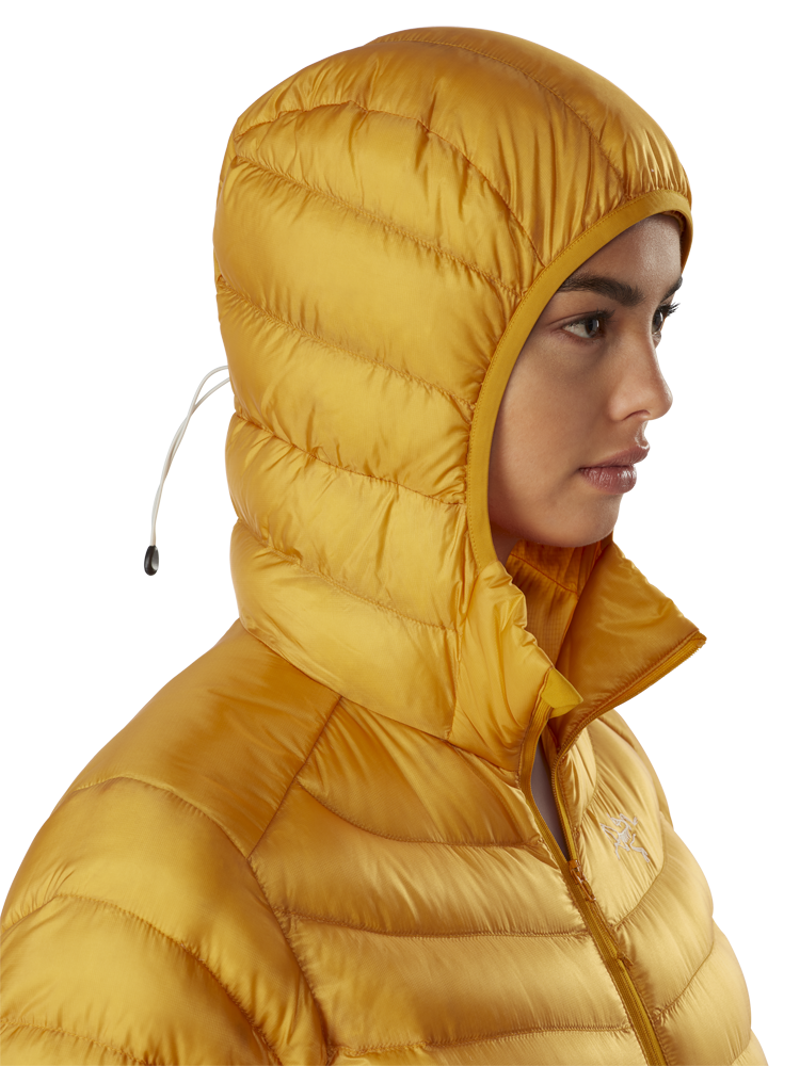 Arcteryx Womens Cerium LT Hoody Whiskey Jack-4