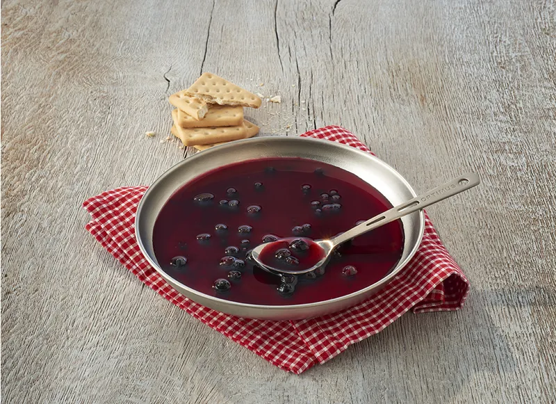 Trek N Eat Blueberry Fruit Soup