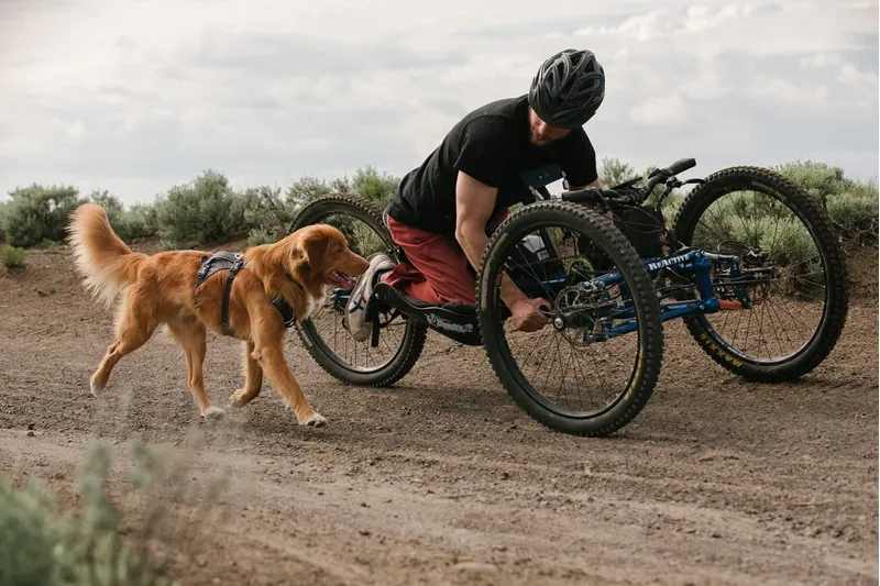 Ruffwear Flagline Dog Harness With Handle Granite Grey-6