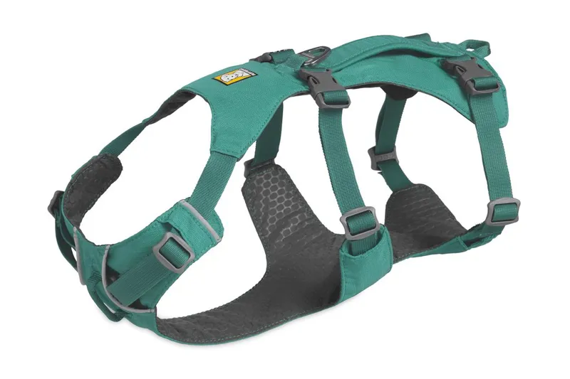 Ruffwear Flagline Dog Harness With Handle Meltwater Teal-1