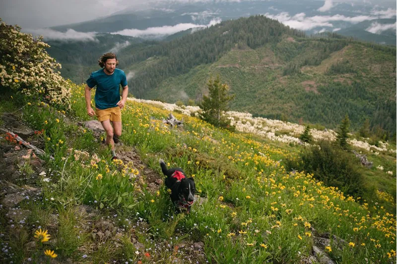 Ruffwear Flagline Dog Harness With Handle Red Rock-7