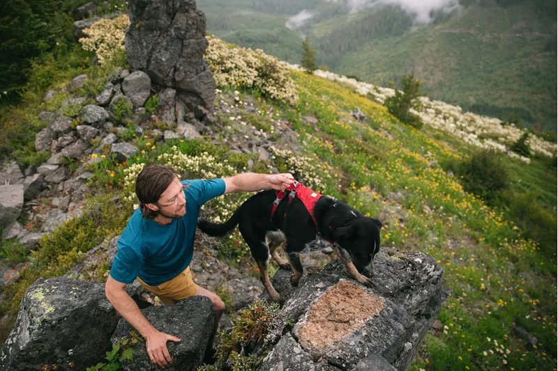 Ruffwear Flagline Dog Harness With Handle Red Rock-6