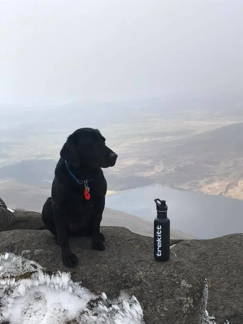 Klean Kanteen Trekitt Water Bottle Matt Black-8