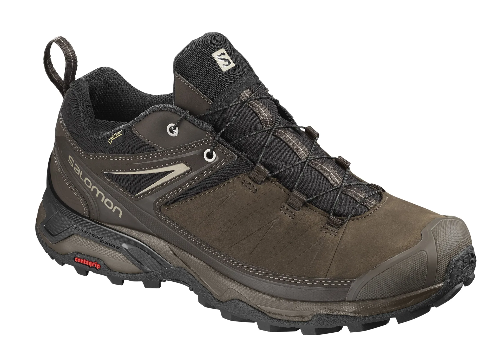 Salomon Mens X Ultra 3 LTR GTX Delicioso