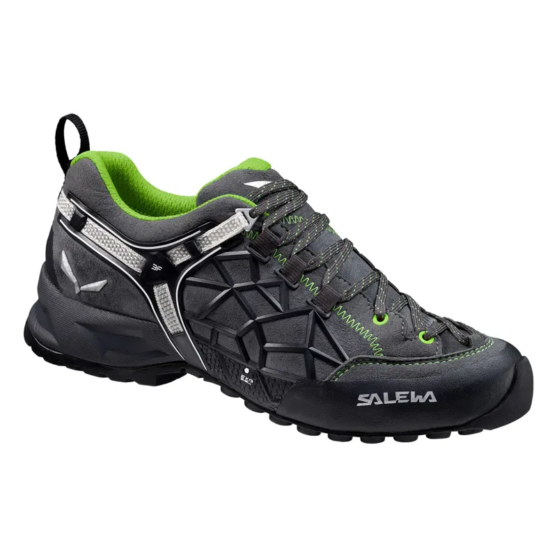 Salewa Unisex Wildfire Pro Carbon/Green