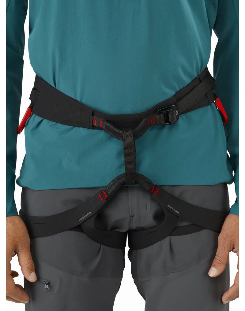 Arcteryx Mens C-Quence Harness Black-6