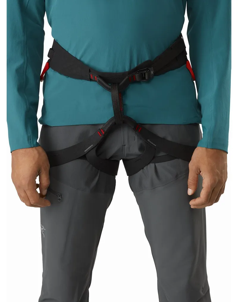 Arcteryx Mens C-Quence Harness Black-1