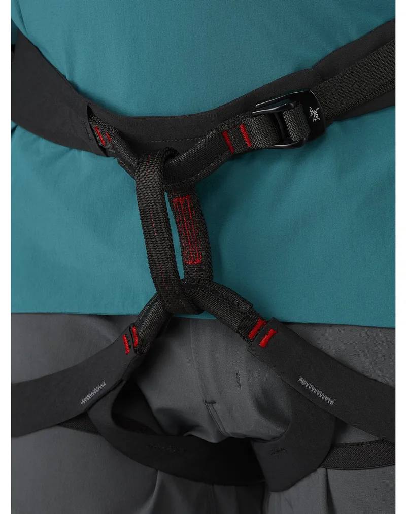 Arcteryx Mens C-Quence Harness Black-2
