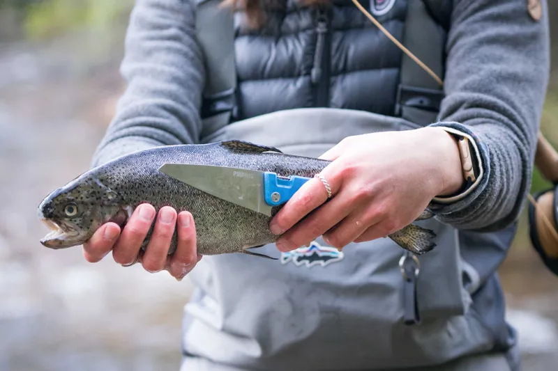 Primus Fieldchef Pocket Knife Blue DEACTIVATED-4