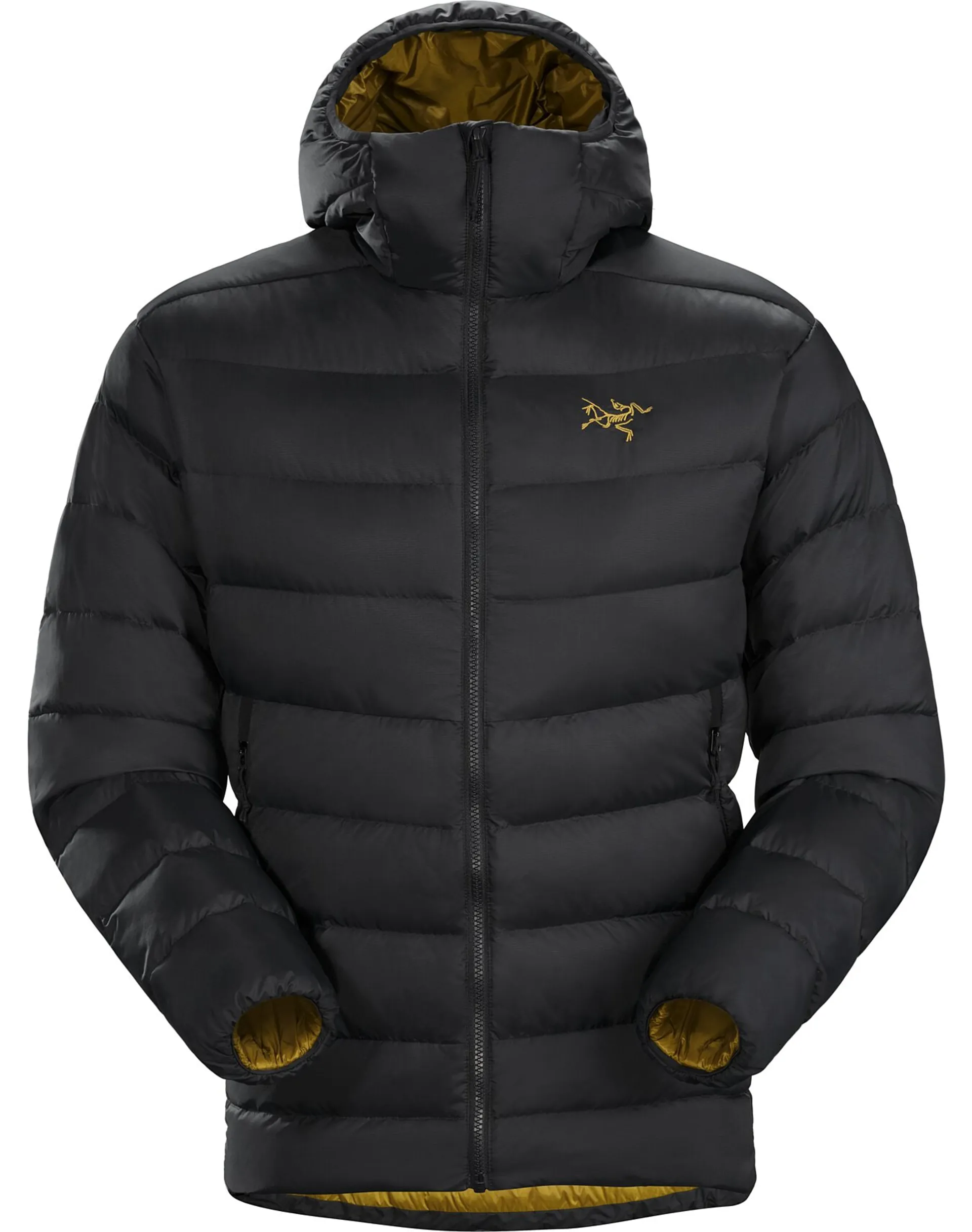 Arcteryx Mens Thorium AR Hoody 24K Black