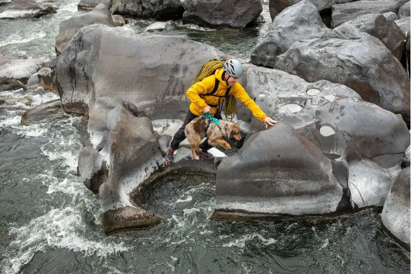 Ruffwear Flagline Dog Harness With Handle Meltwater Teal-3