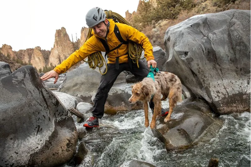 Ruffwear Flagline Dog Harness With Handle Meltwater Teal-2