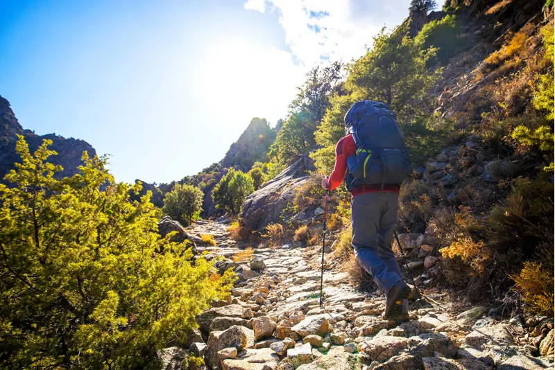 Osprey Mens Atmos AG 50 Rigby Red-9