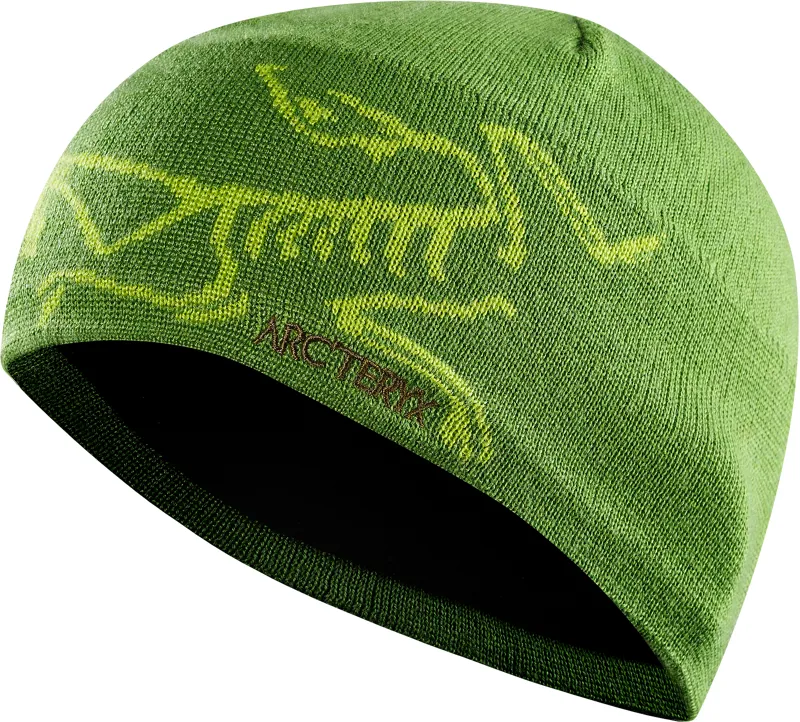 Arcteryx Bird Head Toque Adiantium/Mantis Green
