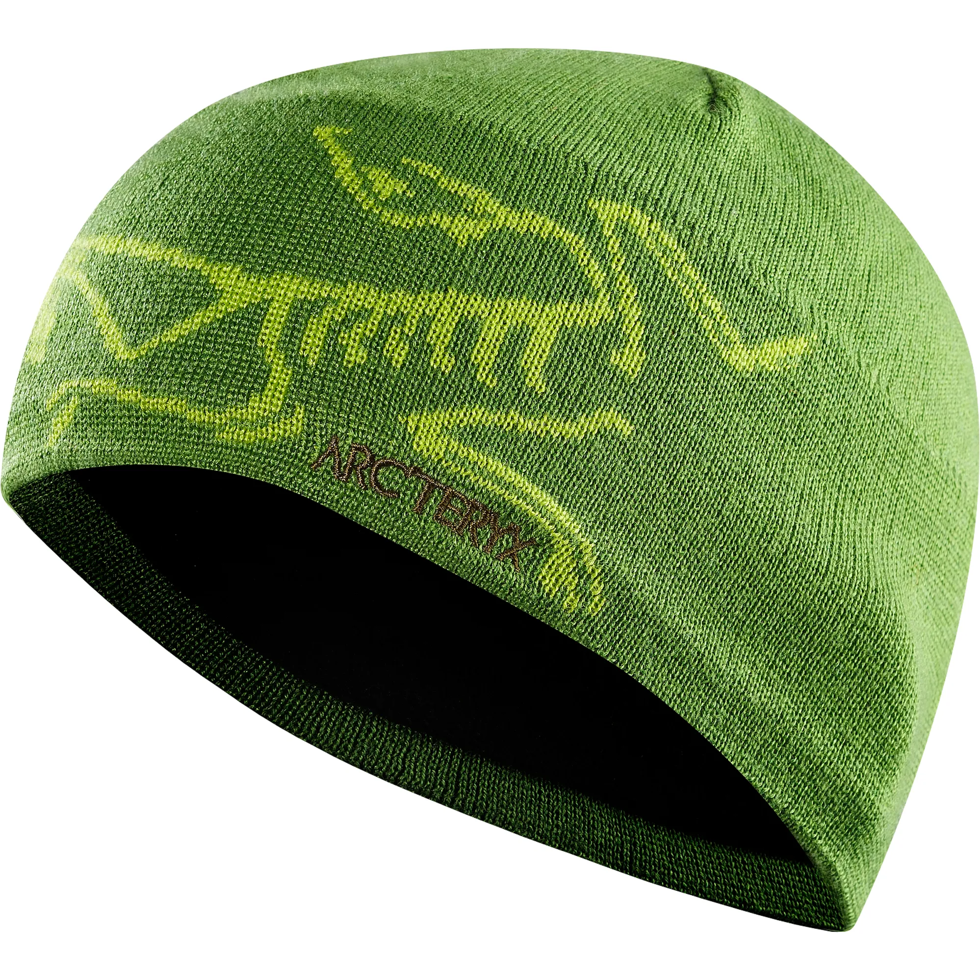 Arcteryx Bird Head Toque Adiantium/Mantis Green