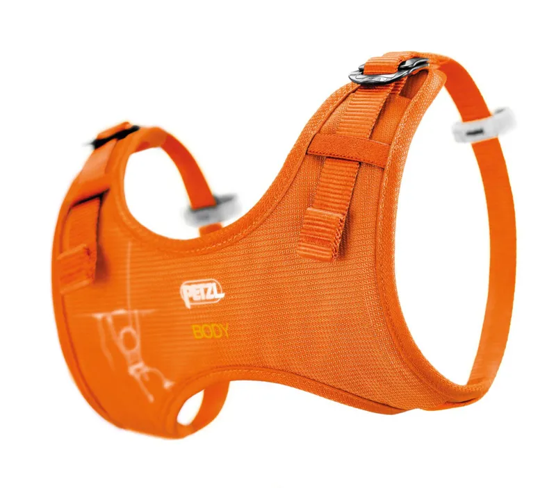 Petzl Childrens Body Coral Harness One Size-1