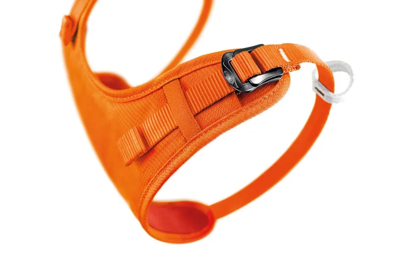 Petzl Childrens Body Coral Harness One Size-2