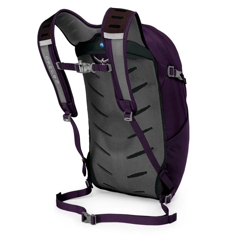 Osprey Daylite Plus Amulet Purple-1