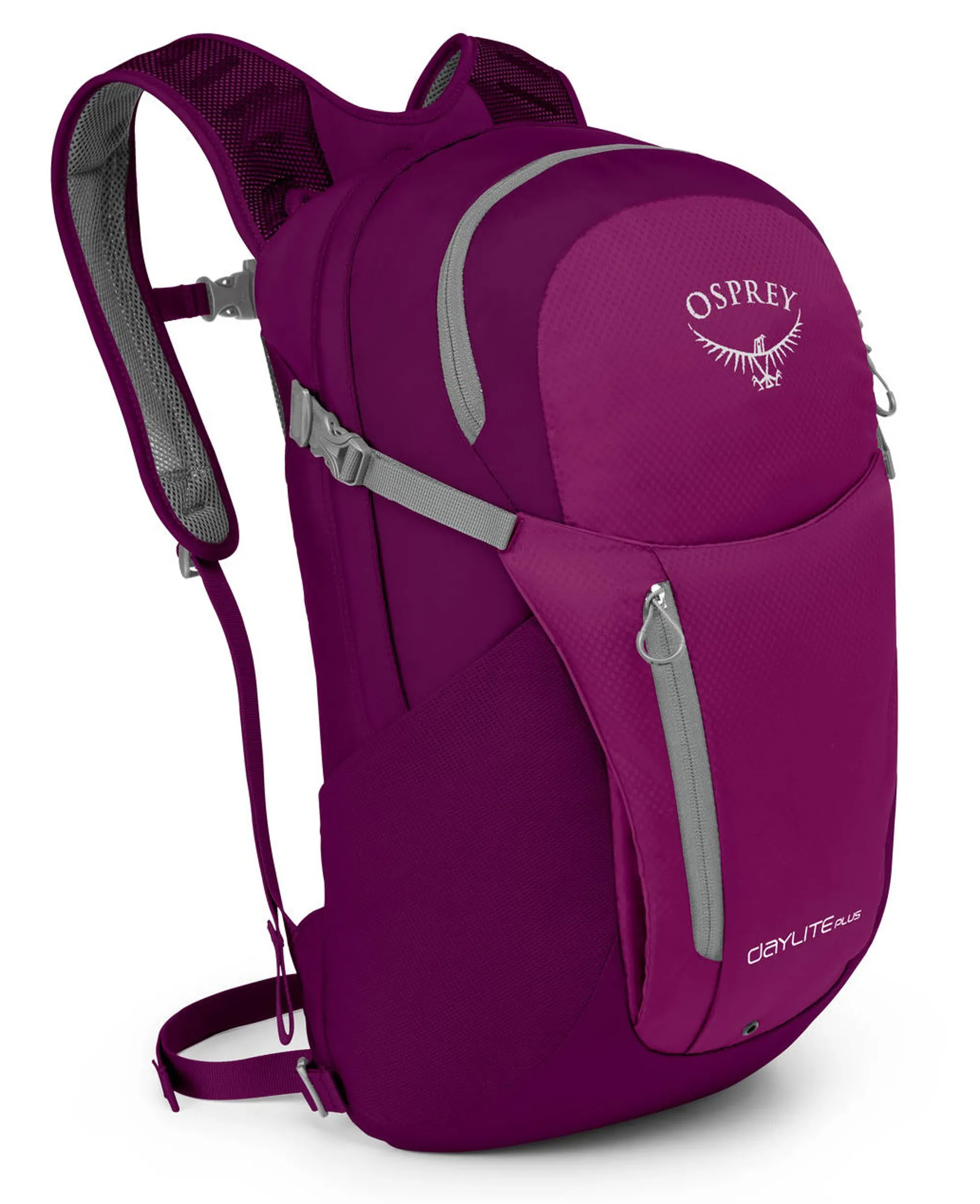 osprey daylite eggplant Purple Plus 20L Daysack  GO Outdoors free recycled bluesign Osprey Daylite Pack Special Edition