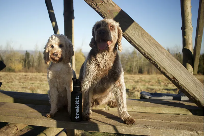 Klean Kanteen Trekitt Water Bottle Matt Black-4