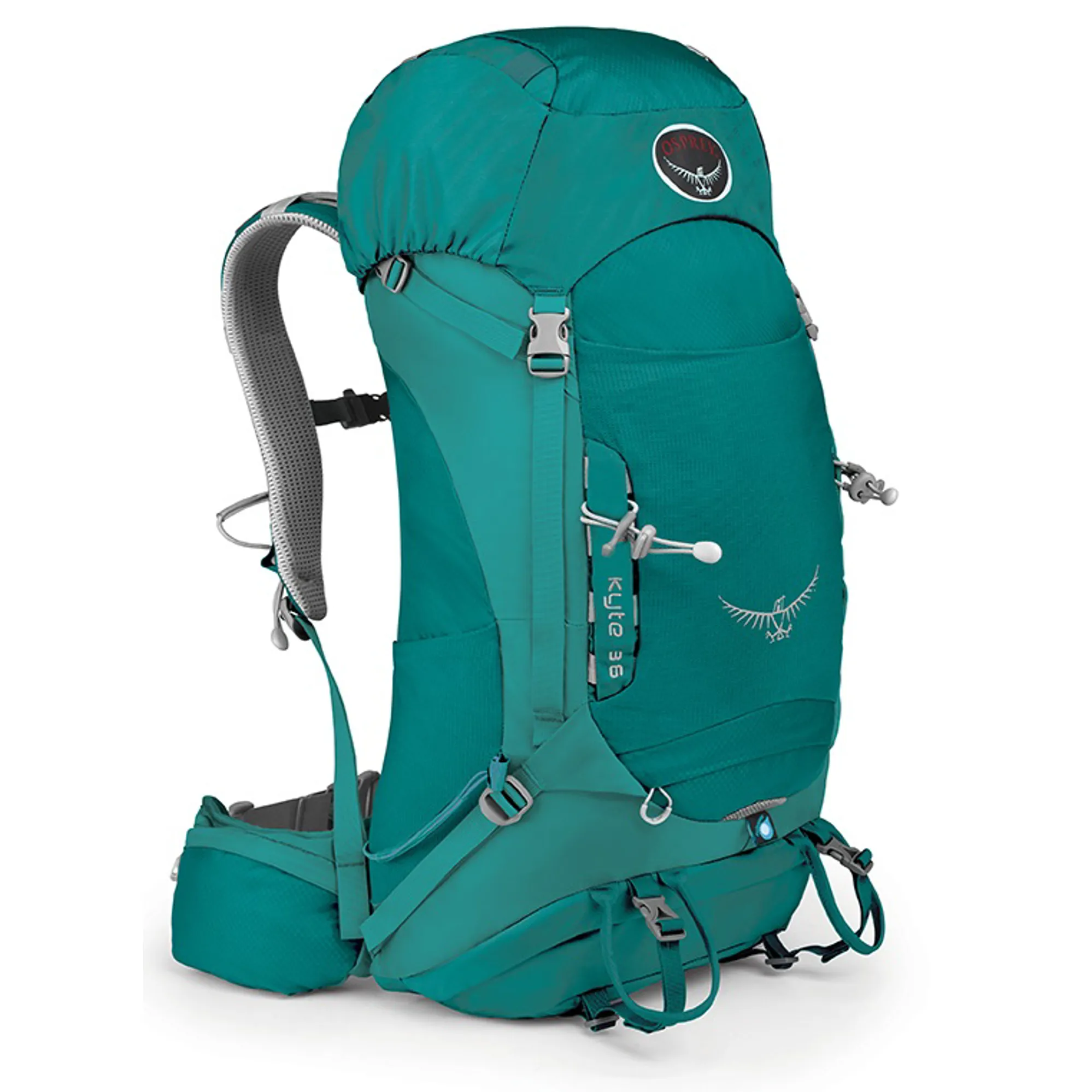 osprey backpack kyte 36 Pack Osprey Kyte 36 Mulberry Backpack