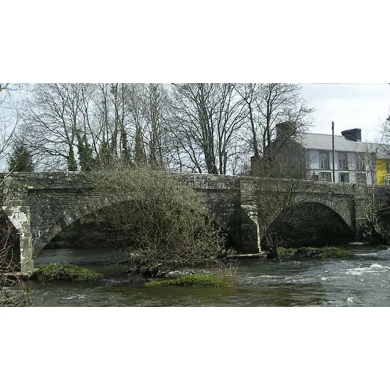 OS Explorer 186 Llandeilo and Brechfa Forest with Download Code-4