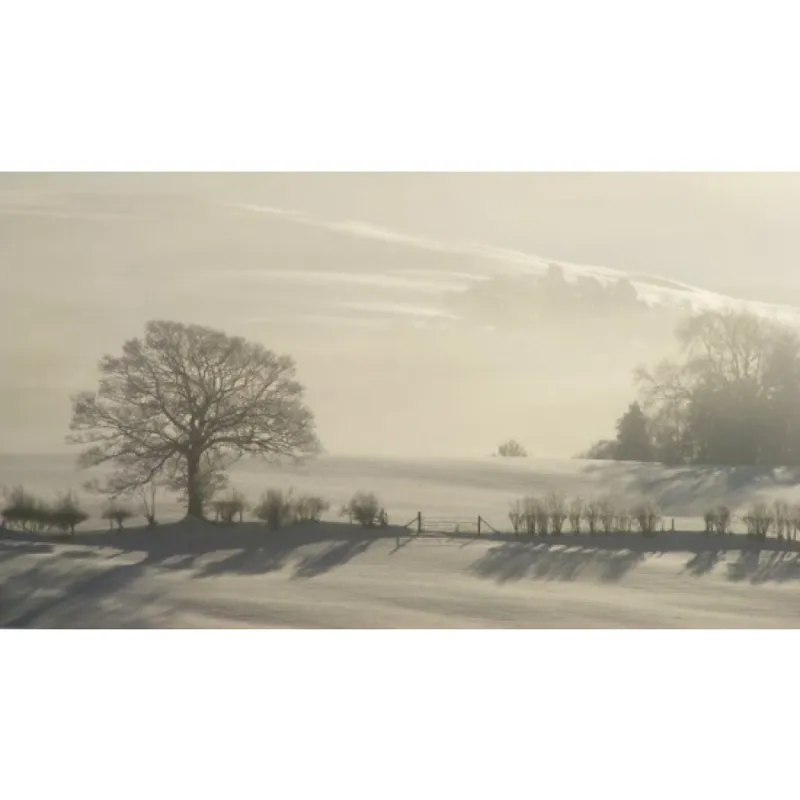 OS Explorer 200 Llandrindod Wells and Elan Valley With Download Code-6