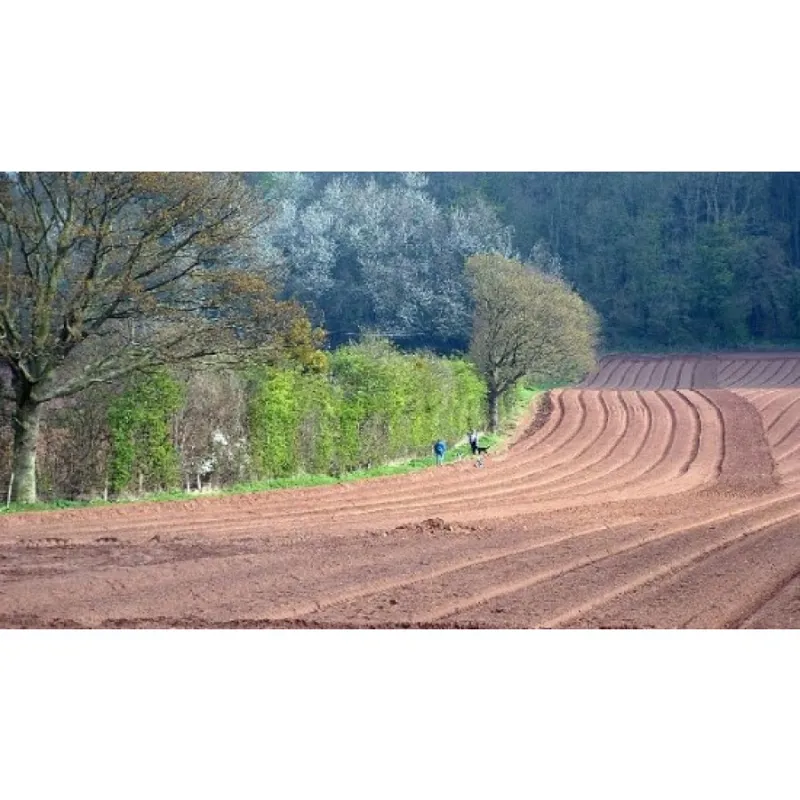 OS Explorer Map OL14 Wye Valley and Forest of Dean With Download Code-4