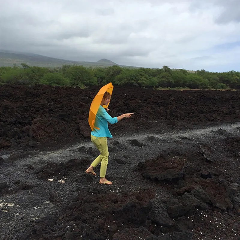 Sea To Summit Ultra-Sil Umbrella Black-1