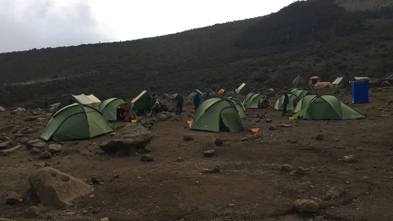 Vango Halo Pro 300 Pamir Green-8