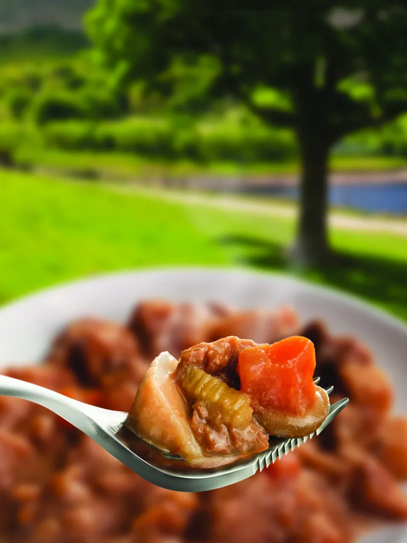 Wayfayrer Lancashire Hot Pot-1