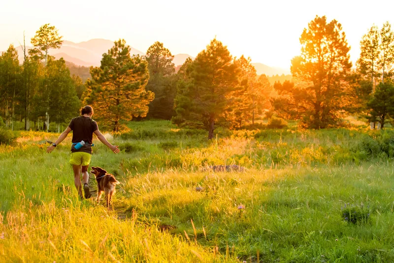 Ruffwear Trail Runner System Granite-5