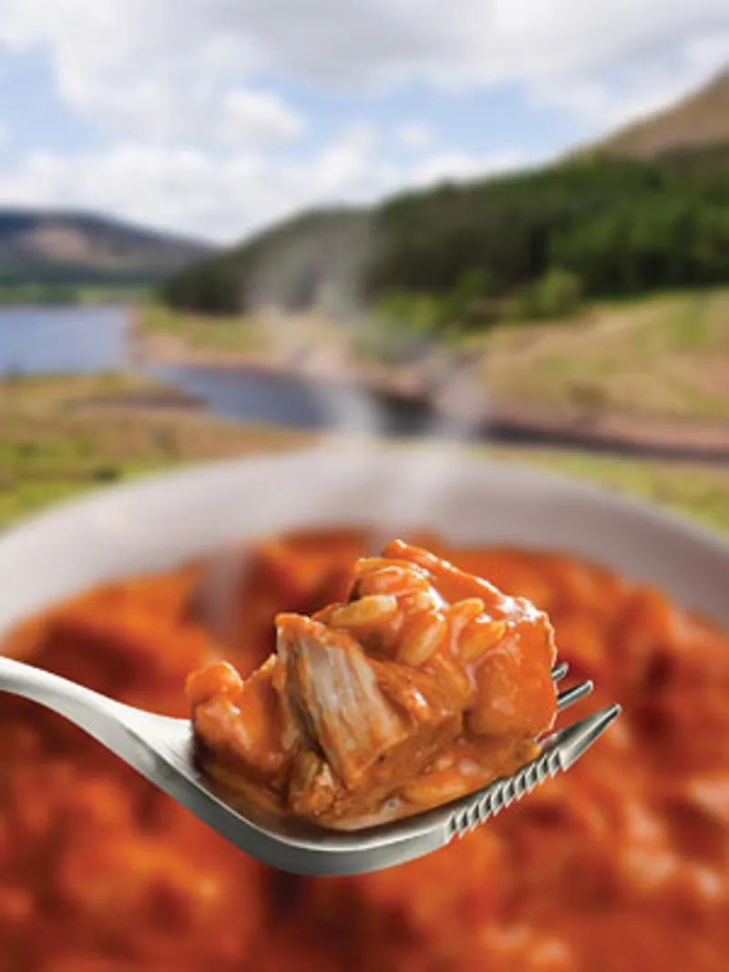 Wayfayrer Chicken Tikka and Rice-1