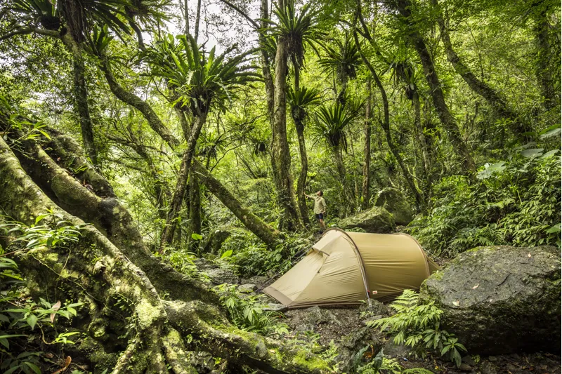 Fjallraven Abisko Lite 2 Tent Pine Green-4