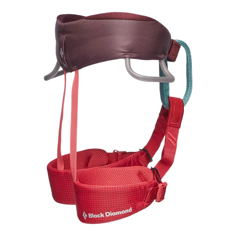 Black Diamond Kids Momentum Harness Wild Rose-1