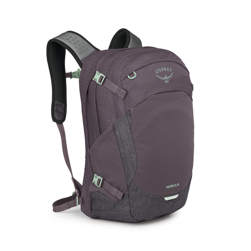 Osprey Nebula Graphite / Purple Heather