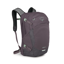 Osprey Nebula Graphite / Purple Heather