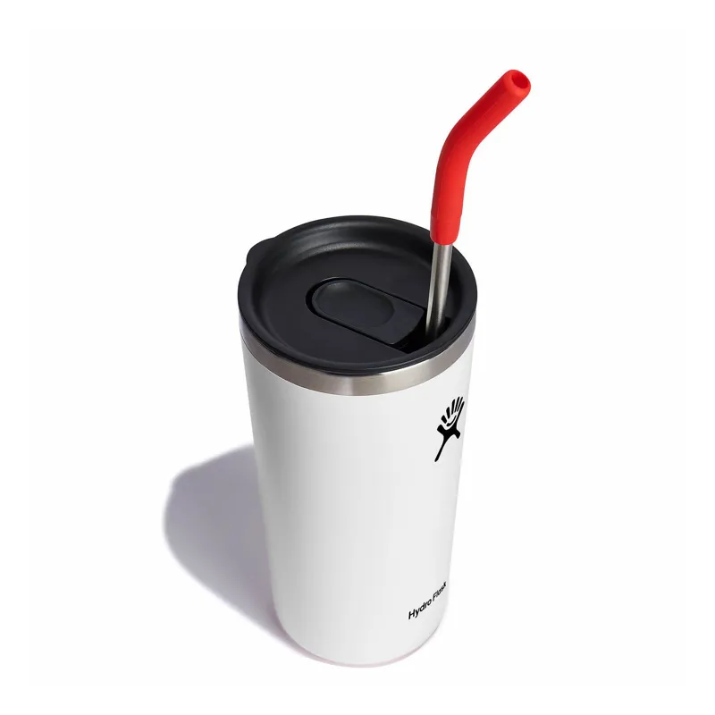 Hydro Flask Stainless Steel Straw Set Goji-4