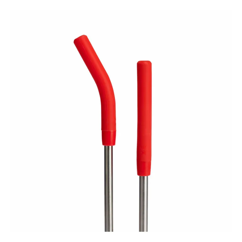 Hydro Flask Stainless Steel Straw Set Goji-3