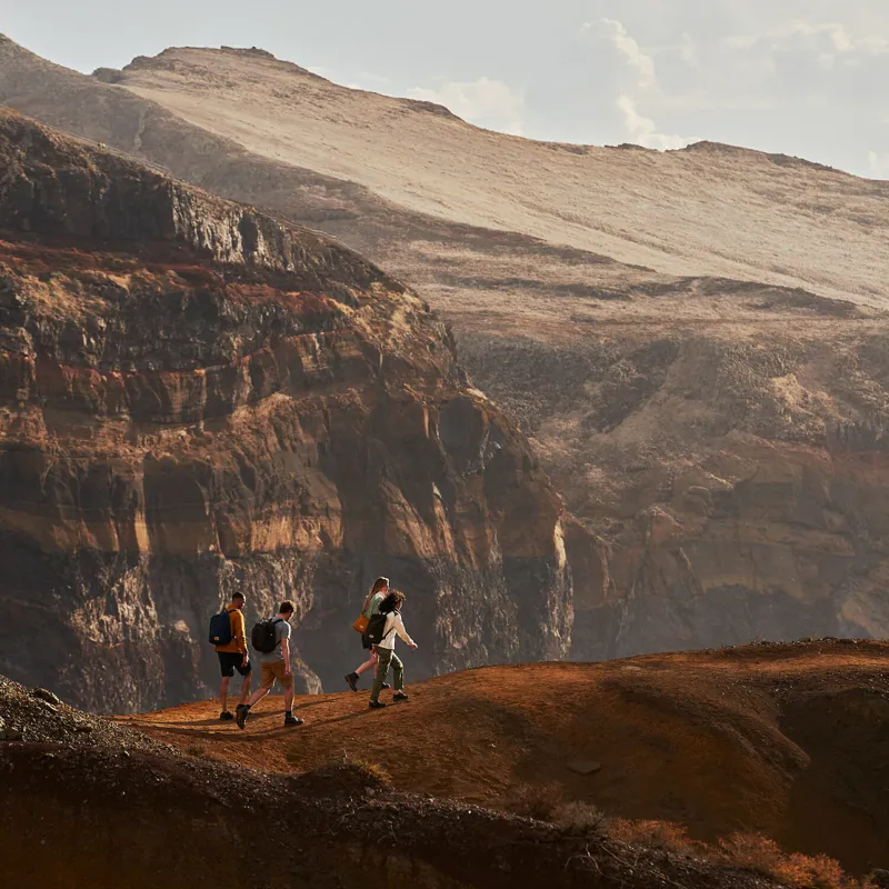 Fjallraven Men's Fjallraven Fox T-Shirt Deep Patina-5