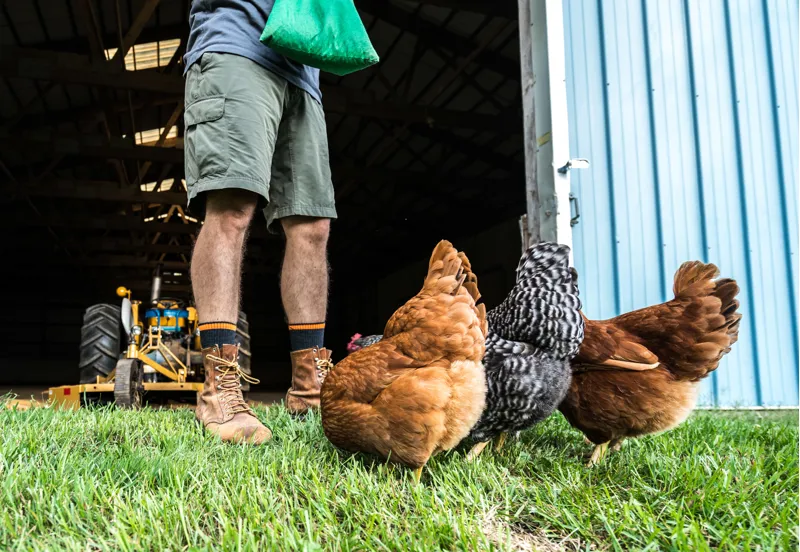 Darn Tough Mens Steely Micro Crew Cushion Graphite-3