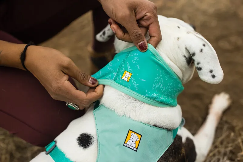 Ruffwear Swamp Cooler Neck Gaiter Teal-5