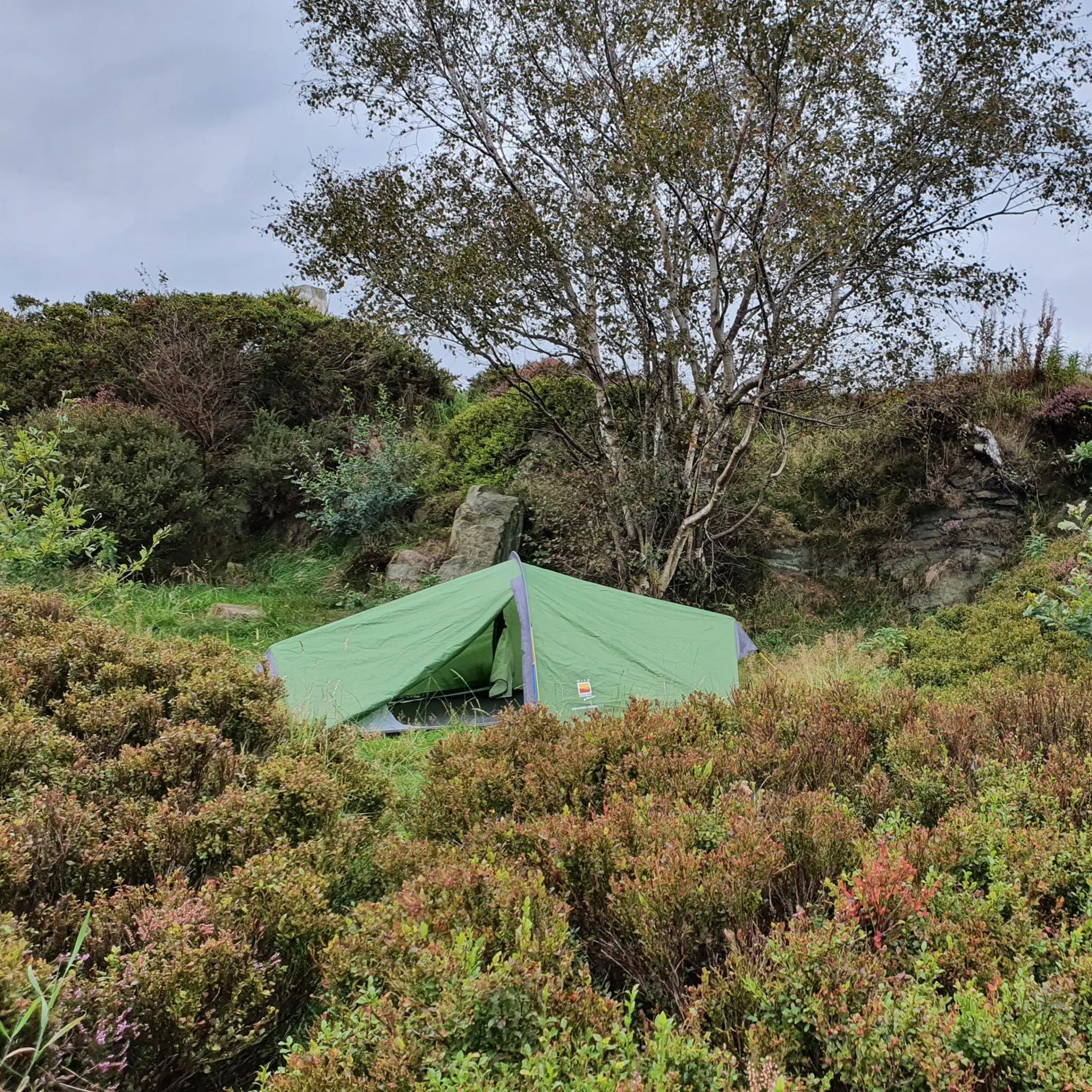 新品　ワイルドカントリー　Zephyros Compact2 Wild Country Zephyros Compact 2 Person Tent Cactus Green