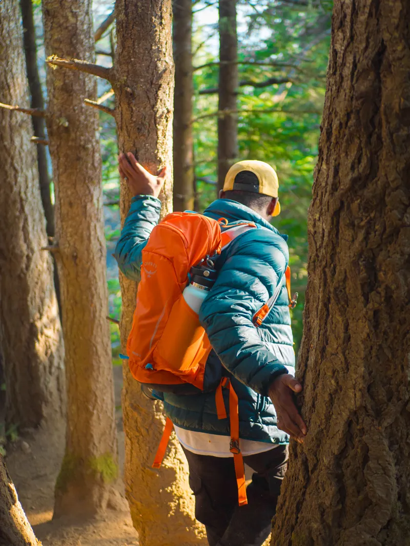 Osprey Hikelite 18 Koi Orange/Blue Venture-10